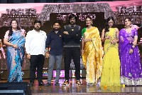 Tiger Nageswara Rao Pre Release Event Set2